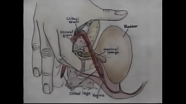 Sex Education Orgasm Training Video